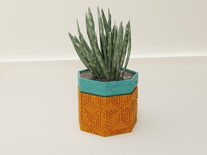 regando maceta 63 plantador cactus flora flor cuenco florero suculento planta menaje vajilla decoración botánico jardinería verde desagüe conserva crecimiento casa 3D print model - Mito3D