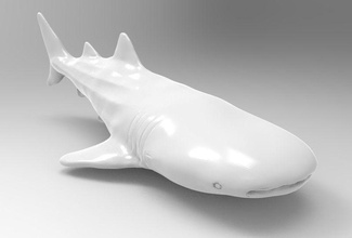 squalo balena stampabile art shark pesce mare acqua wild animale natura di stampa giocattolo i giocattoli vero realistici statua acquatici marino oceano killer sculture 3d print model - Mito3D