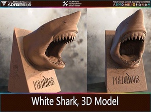 blanc requin 3d modèle poisson animaux mer océan animal nature marin génial collection collectionner impression imprimable zbrush jouets Jeux 3d print model - Mito3D