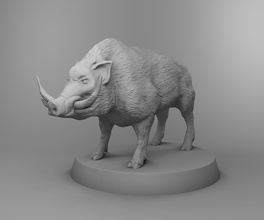 wild boar animals nature zoo forest beast 3d 3dprintmodel printing science biology 3d print model - Mito3D