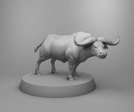 wild buffalo nature animal zoo africa wildlife 3d 3dprintmodel printing science biology 3d print model - Mito3D