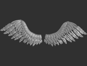 wings pair of angel wing fly bird nature feather eagle animal flight flying cherub cupid valentine art sculptures 3d print model - Mito3D