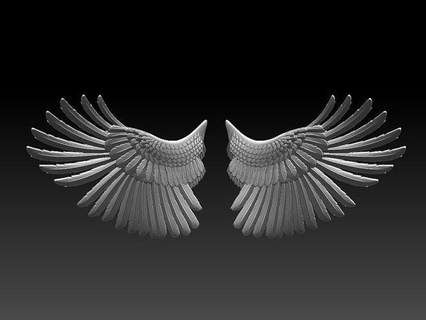 Ali uccello Stampa piuma piume scultura aquila Piccione oro martin passero Oca anatra ala arte sculture angelo 3d print model - Mito3D