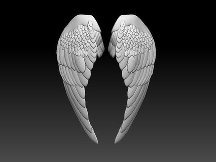 ailes oiseau impression plume plumes sculpture Aigle Pigeon or Martin moineau OIE canard aile art sculptures ange 3d print model - Mito3D