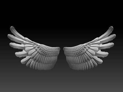 asas pássaro impressão pena penas escultura Águia Pombo ouro Martin pardal Ganso Pato asa arte esculturas anjo 3d print model - Mito3D