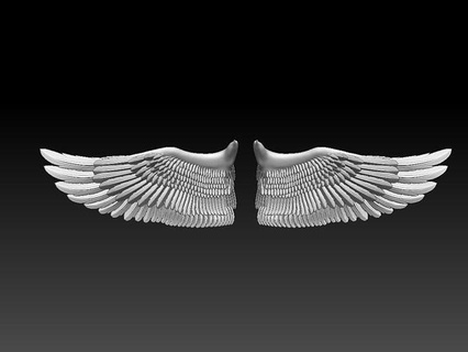 Ali uccello Stampa piuma piume scultura aquila Piccione oro martin passero Oca anatra ala arte sculture angelo 3d print model - Mito3D