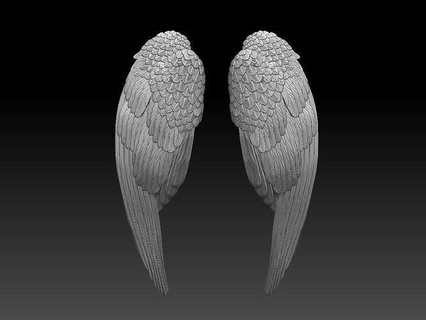 ali spada uccello stampa piuma piume scultura aquila piccione oro martin passero oca anatra ala arte sculture angelo 3d print model - Mito3D