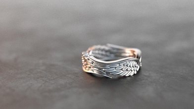 wings jewelry steel reflection art shine design ring wing rings 3d print model - Mito3D