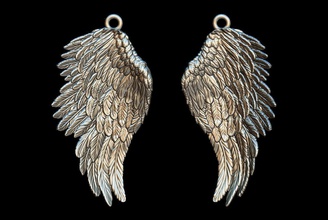 wings angel wing charms eagle jewelry luxury art design silver printable bald american freedom falcon prey predator aguila claw nature pendant earrings 3d print model - Mito3D