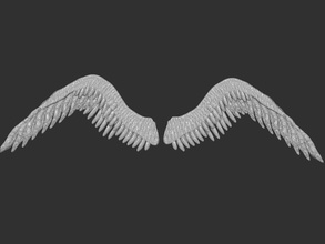 wings 2 art les ailes de l'aile d'oiseaux la nature invertébrés l'ange cupidon caractère plume sculptures 3d print model - Mito3D