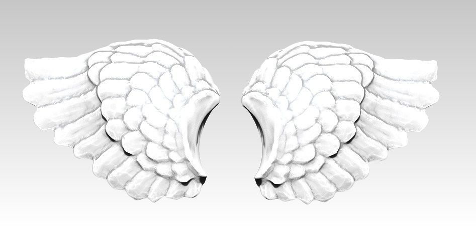 wings pair detailed jewelry wing bird angel eagle flying printable jewel pendant statue biology anatomy silver cupid valentine passion neural illustration love other 3D print model - Mito3D