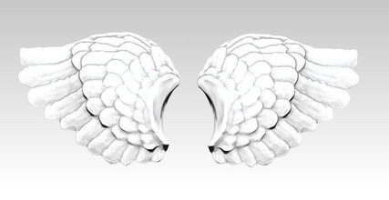 wings pair detailed jewelry wing bird angel eagle flying printable jewel pendant statue biology anatomy silver cupid valentine passion neural illustration love other 3d print model - Mito3D