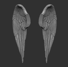 2 kanat yazdırılabilir sanat kanatlar heykel tüy uçan heykeller 3d print model - Mito3D