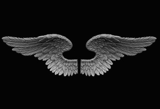 kanatlar yazdırılabilir 7 kanat melek kuş uçmak tüyü uçan aşk tanrısı kartal uçuş hayvan takı mücevher temel örgü gümüş gökyüzü doğa sanat heykeller 3d print model - Mito3D