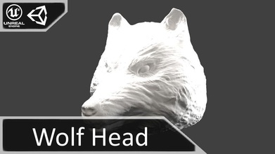 wolf head art nature animal 3dprinting sculpt bust dog heads fur dognose winterdog sculptures 3d print model - Mito3D