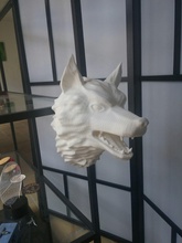 cabeza de lobo la ciencia animal perro naturaleza impresión imprimible highpoly biología 3dprint 3d print model - Mito3D