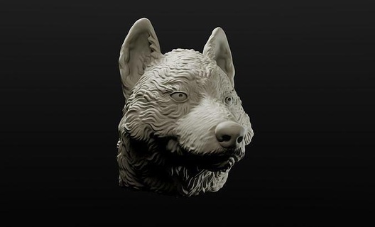 Kurt baş duvar askı amaçlanan 3d baskı hayvan şekil vermek heykel husky gri yaratık canavar köpek heykeller yazdırılabilir Yazdır model ganimet Sanat 3d print model - Mito3D