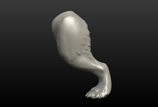 kurt arka bacak sanat hind paw canavar köpek anathomy heykeller uzuv 3d print model - Mito3D