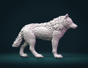 wolf iii carnivora mammal fir canine beast statue figurine miniature creature sculpture art sculptures 3d print model - Mito3D