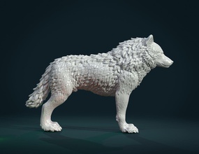 lobo iv carnivora mamífero abeto canino bestia estatua figurilla miniatura escultura perro arte esculturas 3d print model - Mito3D