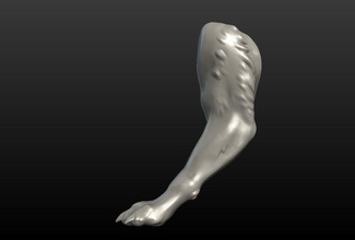 lobo pata garra lobisomem fera jogos brinquedos membro perna 3d print model - Mito3D