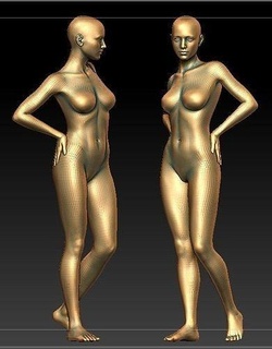 donna anatomia femmina arte figura corpo scultura sculture 3d print model - Mito3D