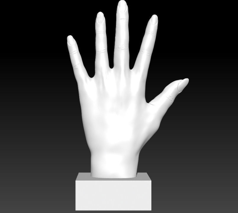 kadın eli sanat el palm vücut bölüm heykeller 3D print model - Mito3D