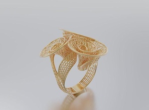 Frau Ring Schmuck Juwel Kunst Gold Design gestalten Silber Diamant brillant Mode weiblich Schönheit Sterling druckbar Kleidung Ringe 3d print model - Mito3D