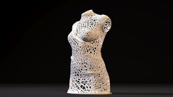 femme torse femelle Humain voronoi corps anatomie musculature tors art musclé sculptures 3d print model - Mito3D