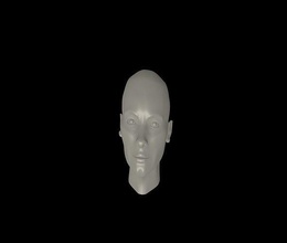 frauen gesicht shara frau charakter kunst wissenschaft mode 3d print model - Mito3D