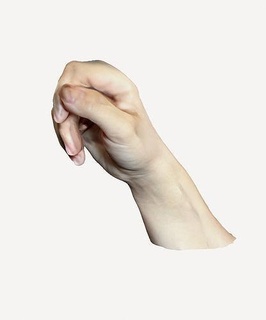 mulheres mão 3dmodel escaneado realista preciso texturizado alta resolução versátil animação jogos realidade virtual design produto simulação médica detalhe pose gesto obj fbx Ciência biologia 3d print model - Mito3D