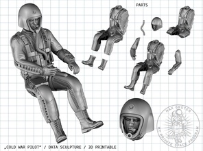 x plane pilot u 2 uçak test pilotu rc yazdırılabilir kask adam soğuk savaş sanat heykeller sert maxgrueter 3d print model - Mito3D