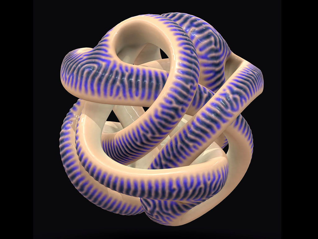 yayene sculpture snake ophidian art geometry knot printable abstract color math reaction diffusion sculptures 3D print model - Mito3D