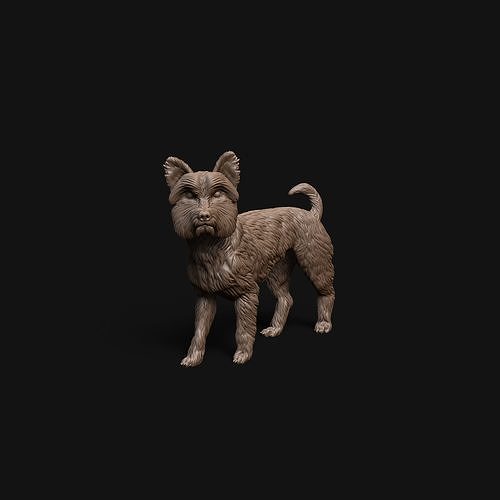 yorkshire terrier cane pre supportato stampabile animale figura figurine segugio miniature domestico scultura miniatura mammifero in piedi canino carina piccolo arte sculture 3D print model - Mito3D