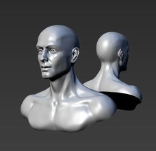 young man head anatomy face character portrait head bace sculpture zbrush statue man youngman male male head superficial anatomy art sculptures male character