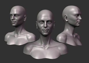 young woman head anatomy girl face character portrait woman woman head bace head female head female head sculpture zbrush statue art sculptures female character