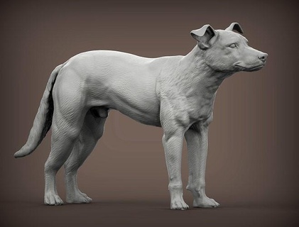 zelanda pastore neozelandese cane natura mammifero animale domestico scultura souvenir 3d Stampa modello arte sculture statua stampabile 3d print model - Mito3D