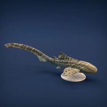 zebra Tubarão 3d impressão animal peixe água oceano predador escultura figura miniatura estátua animais selvagens brinquedo arte mar esculturas 3d print model - Mito3D