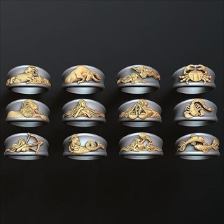 zodiac horoscope rings set pack gold jewel jewellery zodiak astrological sign horoskop horoscop astrology model goroskop jewelry necklace symbol medallion cosmos universe pendant 3d print model - Mito3D