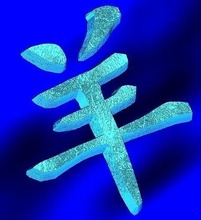 zodíaco placa ovelha Zodiaq animal chinês lunar calendário terra ilustração China símbolo horóscopo passatempo faça figura 3d print model - Mito3D
