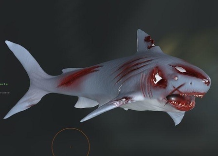 zombi tiburón pez naturaleza nadando submarino agua tropical mar salvaje vida marina acuario río Mariscos buceo fauna silvestre Arte esculturas 3d print model - Mito3D