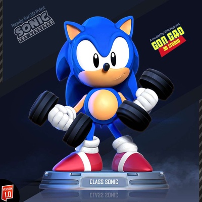 co3d clásico sonic is levantamiento pesos personaje victoria erizo juego dibujos animados manga anime 3dprint estatua figura 3dprinting 3d print model - Mito3D