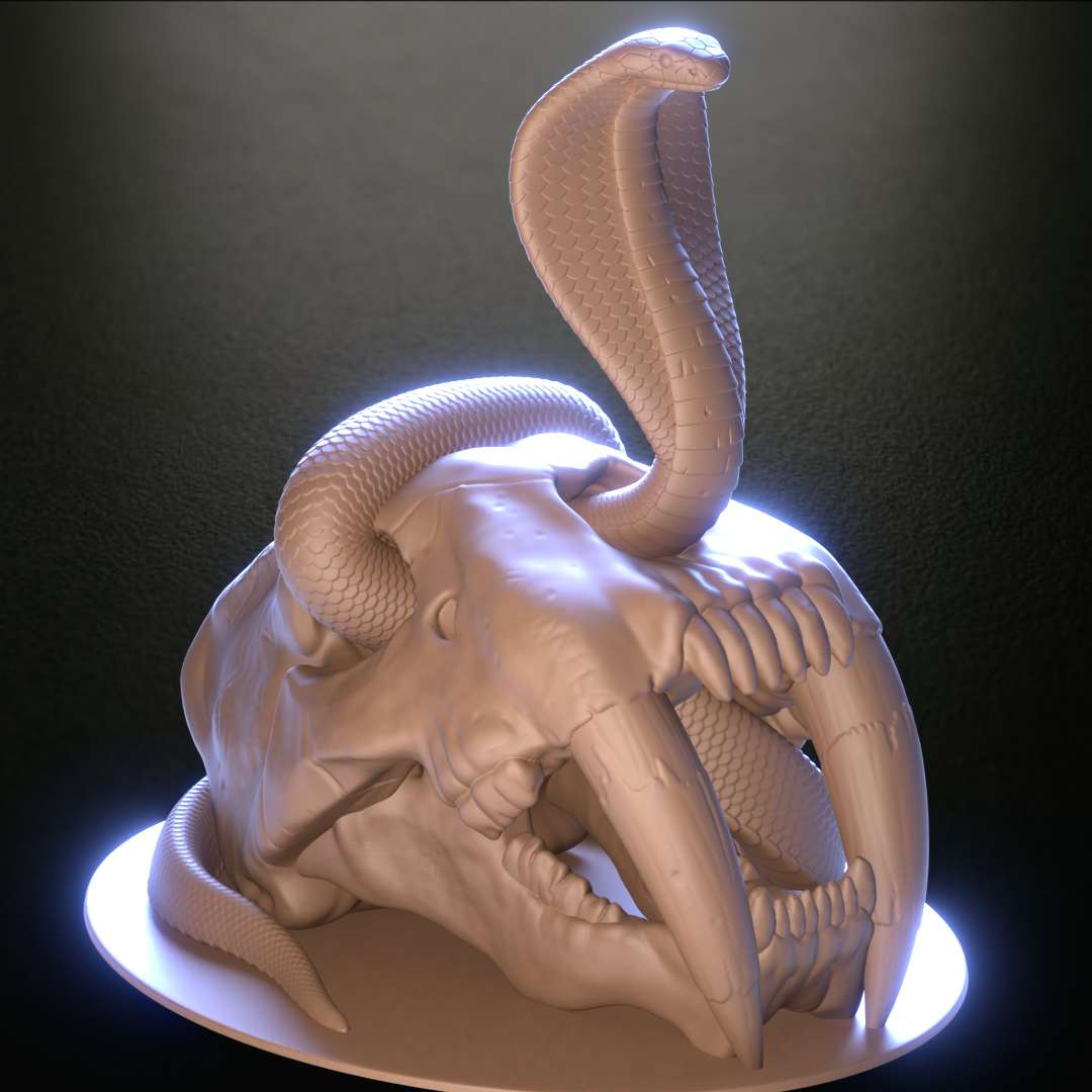 naja cobra serpente chegando smilodon toothed tigre crânio 3D print model - Mito3D