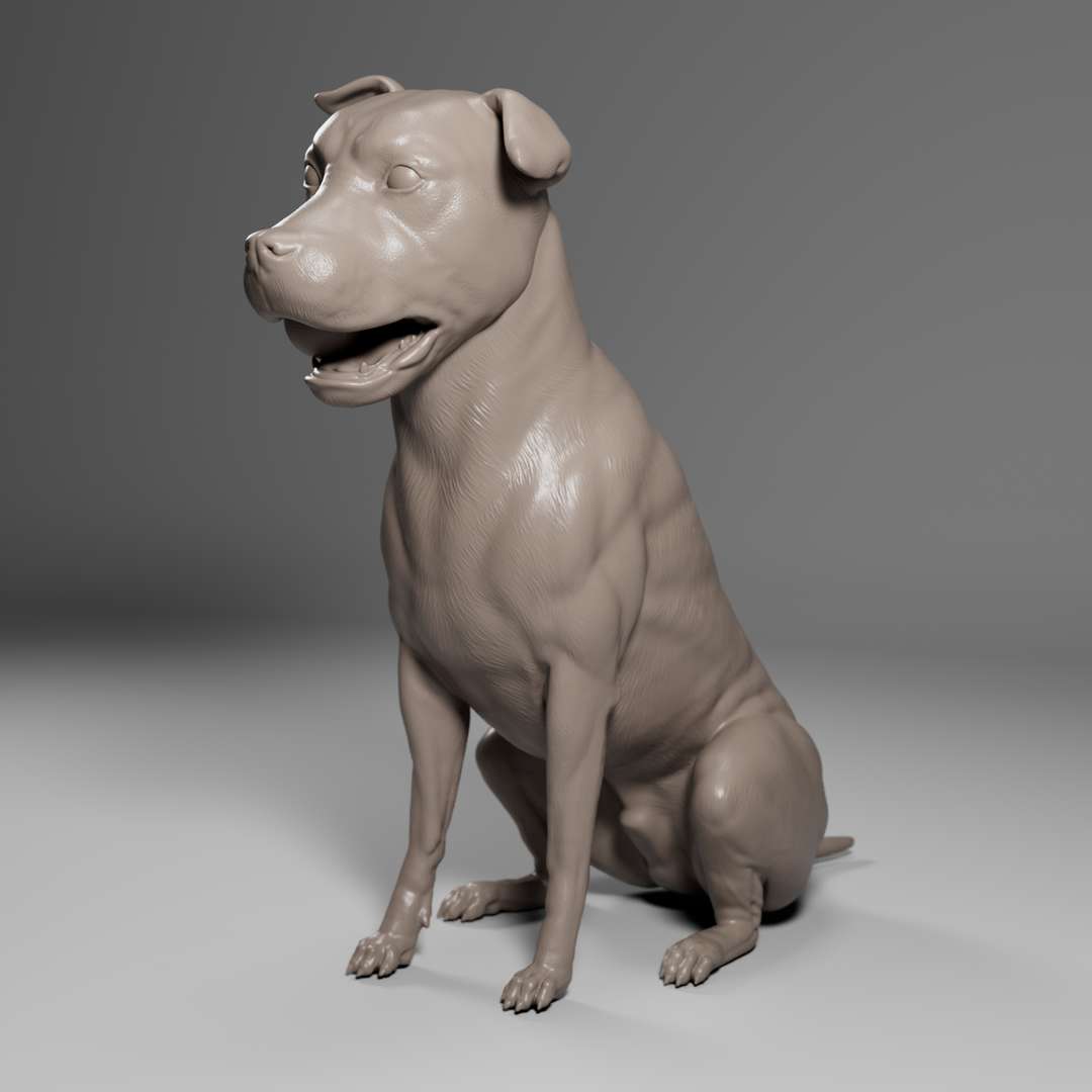 pitbull - dog pet 01 3d print model collectible animal sculpture 3D print model - Mito3D