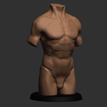 réaliste torse anatomie tronco corps art classique 3d print model - Mito3D