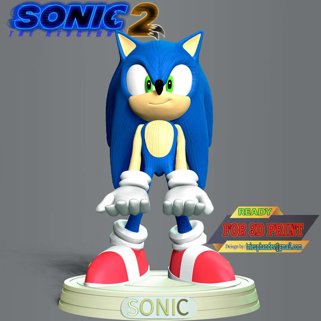 co3d sonic erizo 3D print model - Mito3D