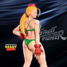 co3d rua lutador cammy guerreiro 3dprint estátua figura 3dprinting menina admirador arte 3d print model - Mito3D