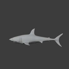 co3d blanco tiburón 3d print model - Mito3D