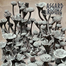 asgard rising 202102 3d print model - Mito3D