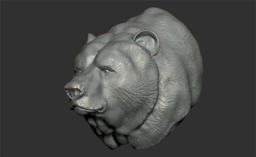 urso cabeça ed modelo stl casa 3d impressão 3D print model - Mito3D